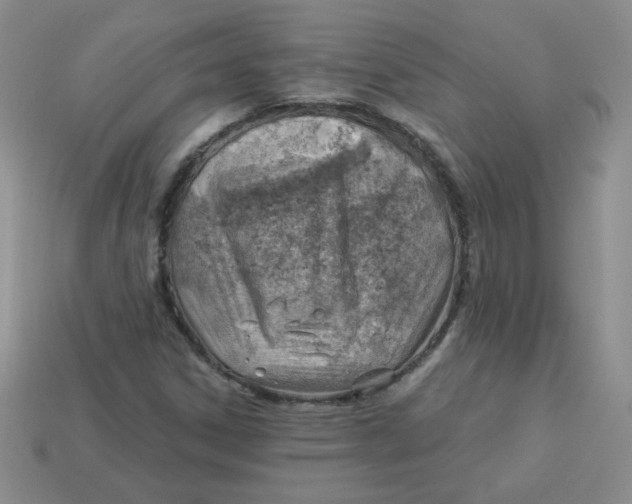 X0000113901306200910151347