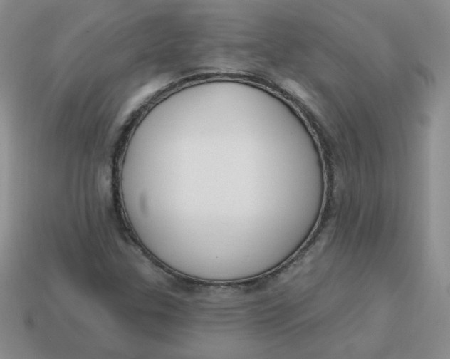 X0000113901307200910151347