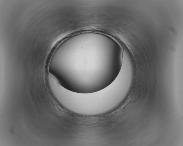 X0000113901308200910151347