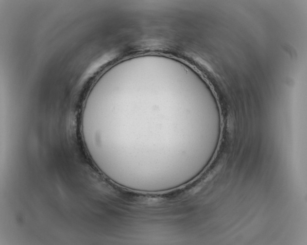 X0000113901309200910151347