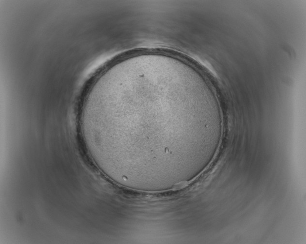 X0000113901311200910151347