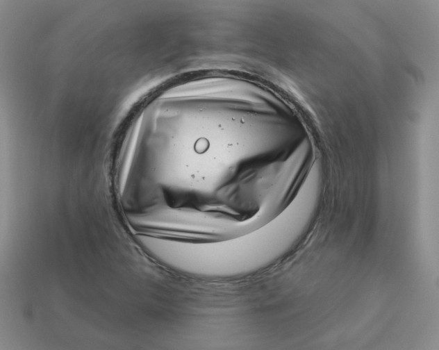 X0000113901312200910151347