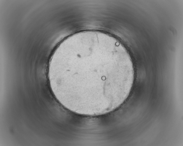 X0000113901314200910151347