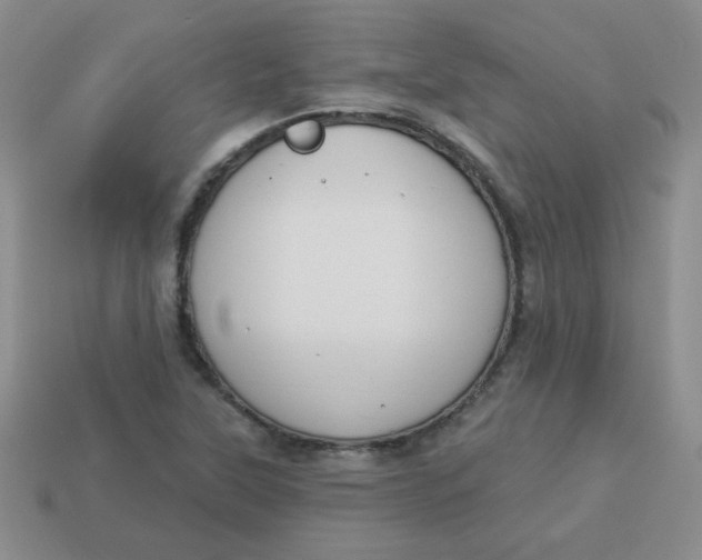 X0000113901315200910151347