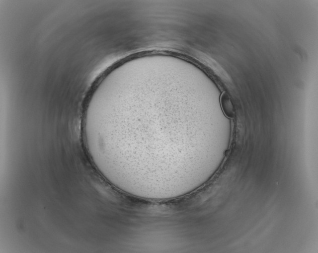 X0000113901316200910151347