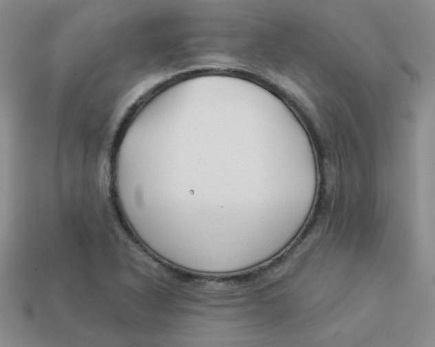 X0000113901318200910151347