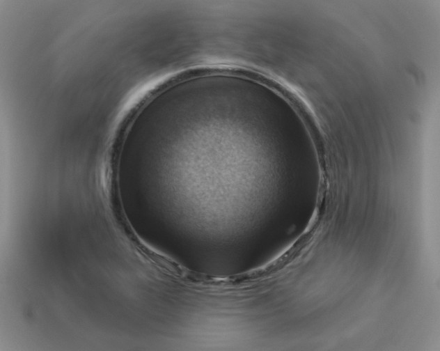 X0000113901319200910151347