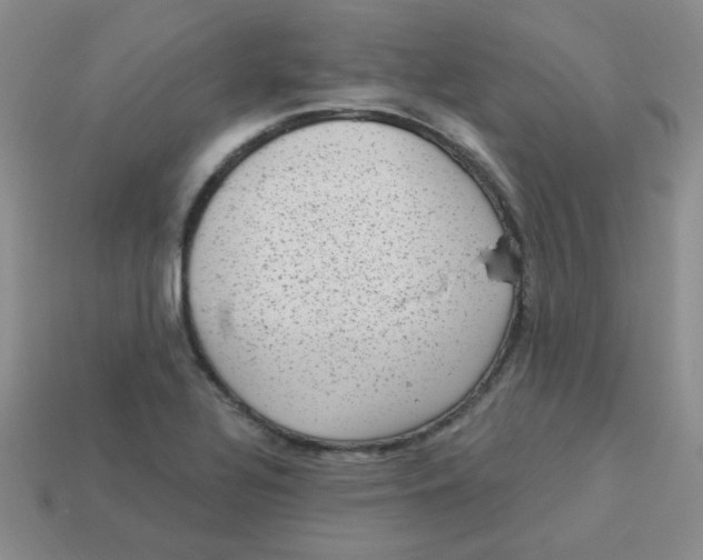 X0000113901320200910151347