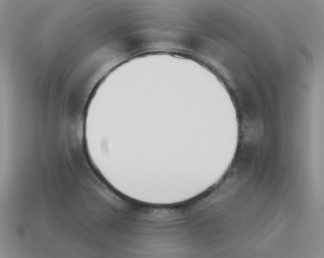 X0000113901322200910151347