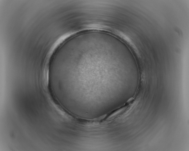 X0000113901323200910151347