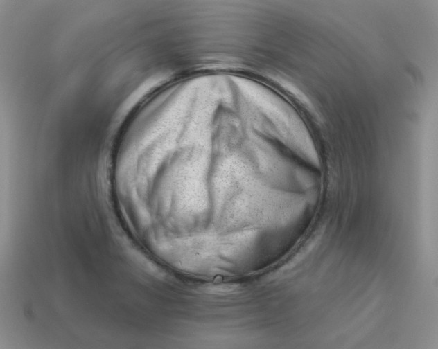 X0000113901325200910151347