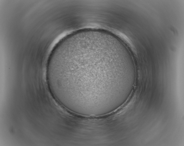 X0000113901326200910151347