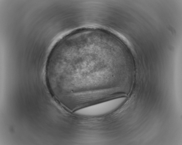 X0000113901327200910151347