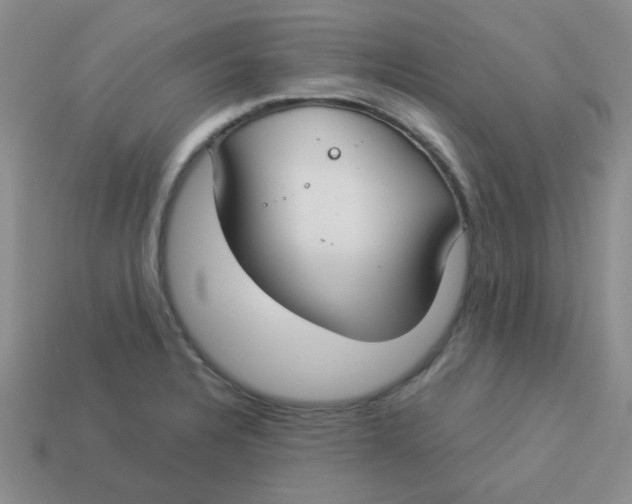 X0000113901328200910151347