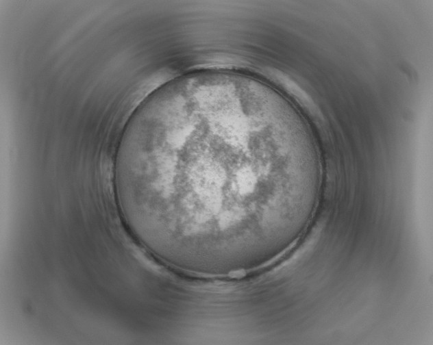 X0000113901329200910151347