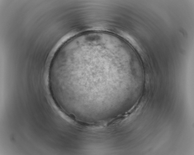 X0000113901331200910151347