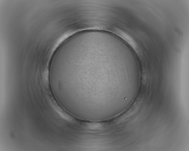 X0000113901332200910151347