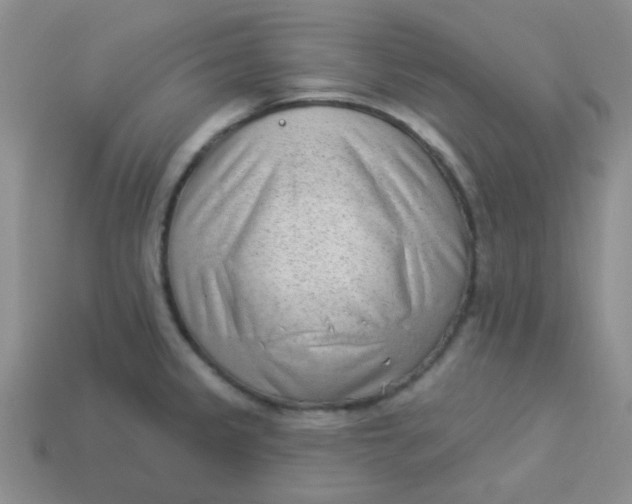 X0000113901333200910151347