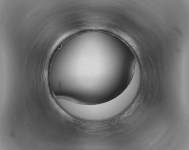 X0000113901334200910151347