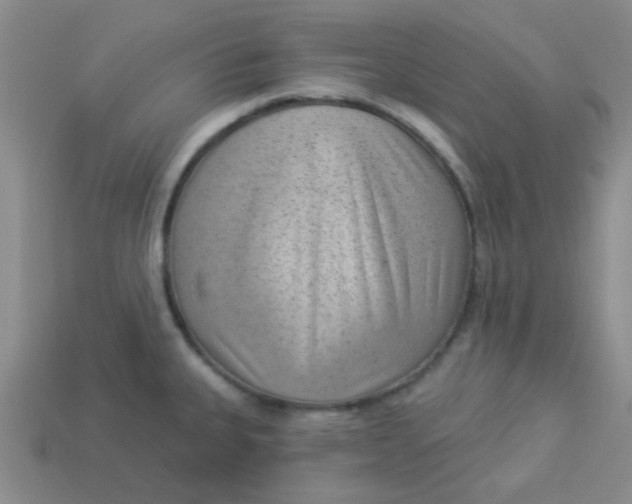 X0000113901335200910151347