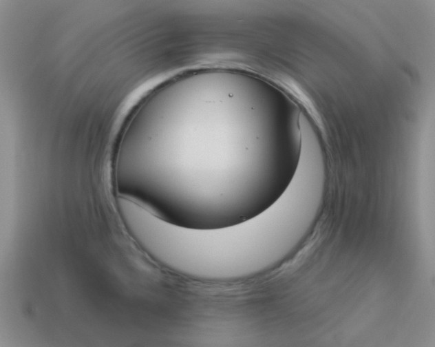 X0000113901336200910151347