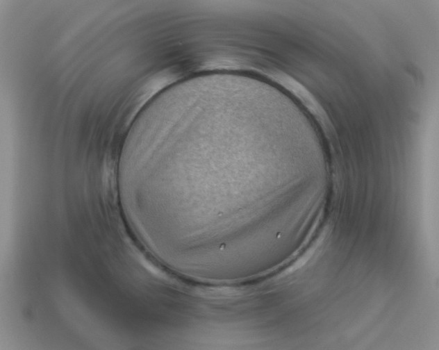 X0000113901337200910151347