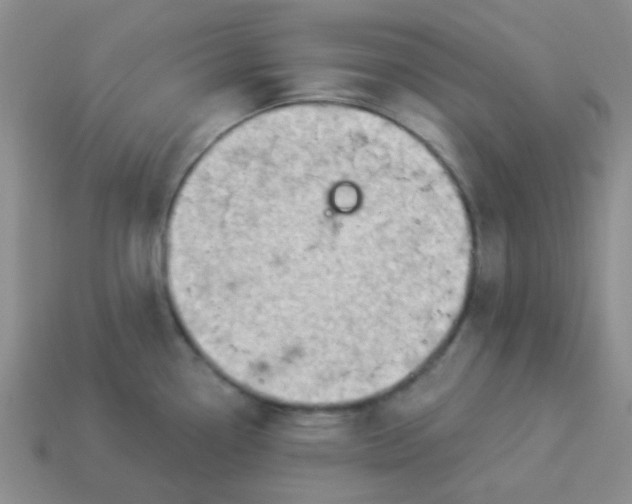 X0000113901338200910151347