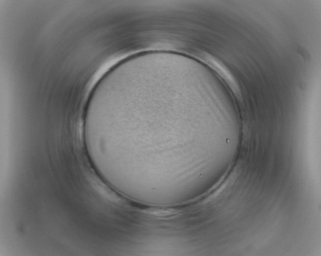 X0000113901340200910151347