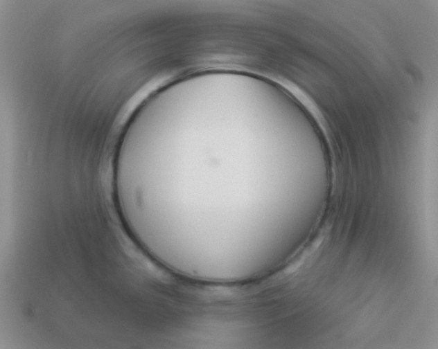 X0000113901341200910151347