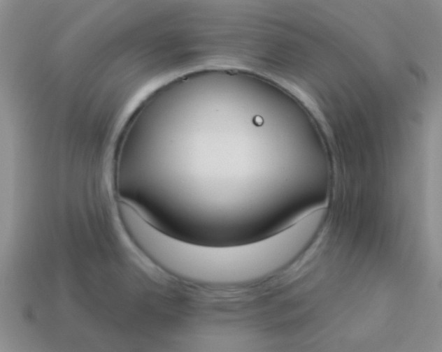 X0000113901342200910151347