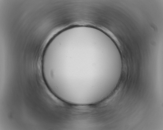 X0000113901343200910151347