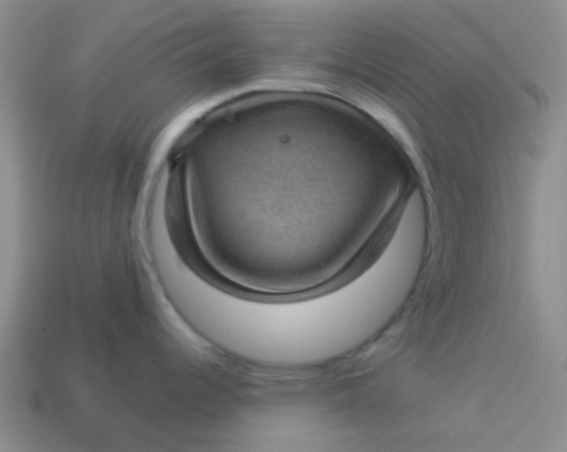 X0000113901344200910151347