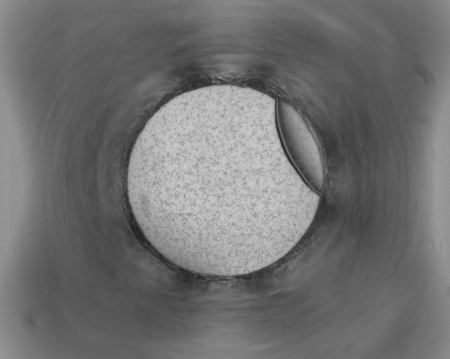 X0000113901345200910151347