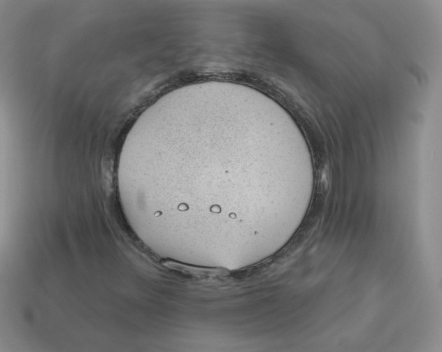 X0000113901348200910151347