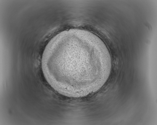 X0000113901349200910151347