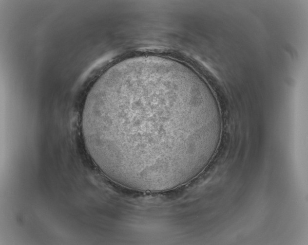 X0000113901351200910151347