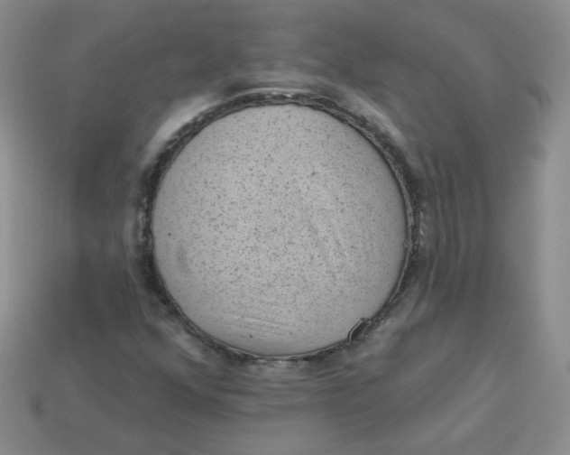 X0000113901352200910151347