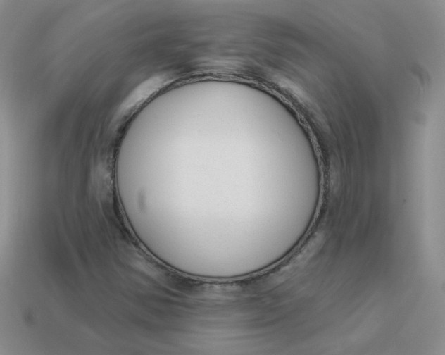 X0000113901354200910151347