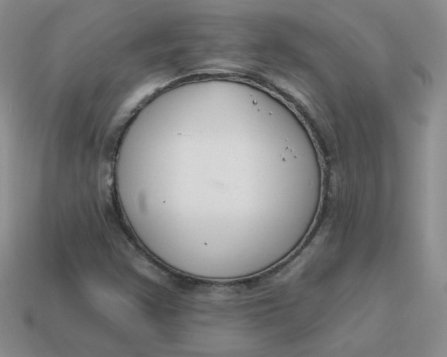 X0000113901355200910151346