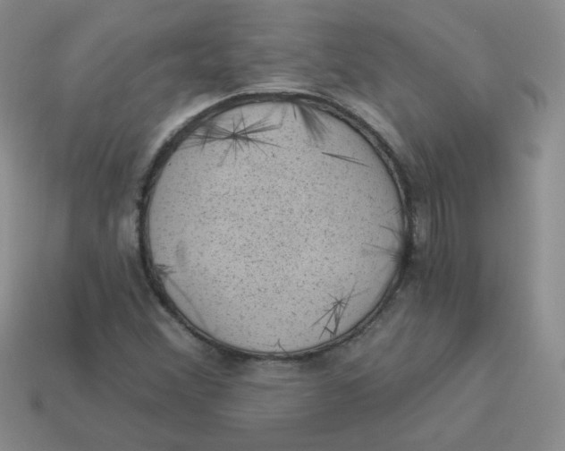 X0000113901356200910151346