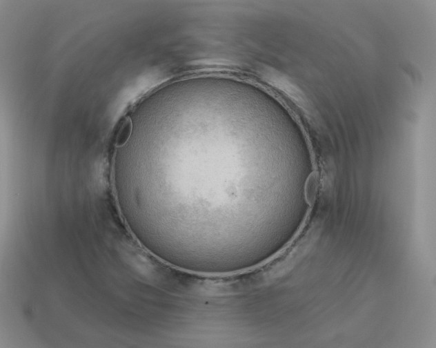 X0000113901357200910151346