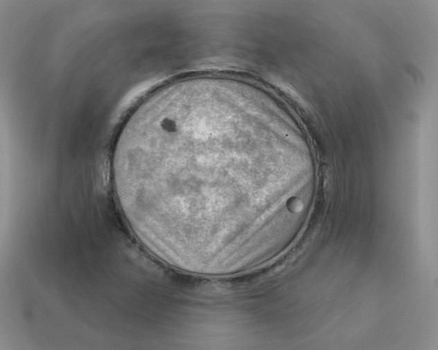 X0000113901358200910151346