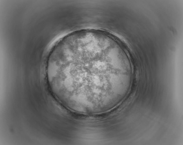 X0000113901359200910151346