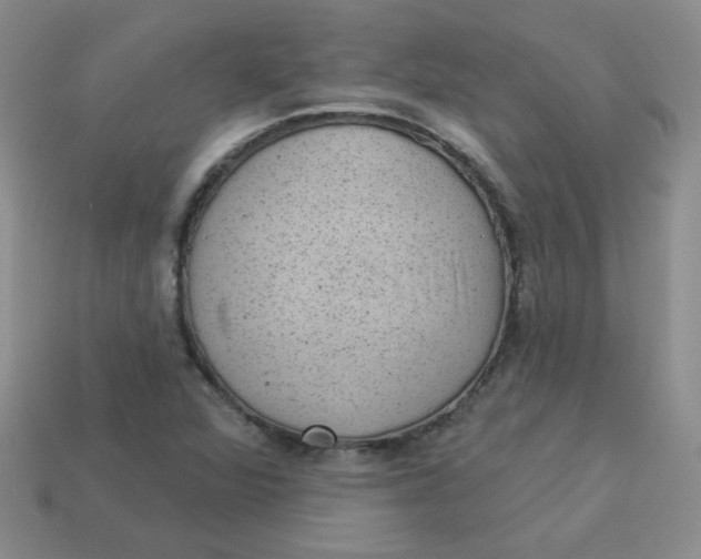 X0000113901360200910151346