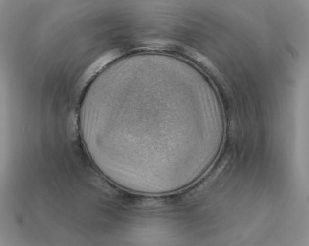 X0000113901362200910151346