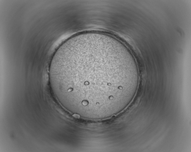 X0000113901363200910151346