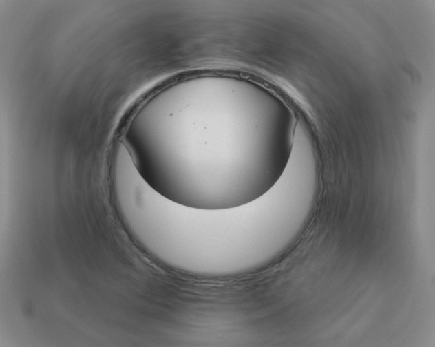 X0000113901364200910151346