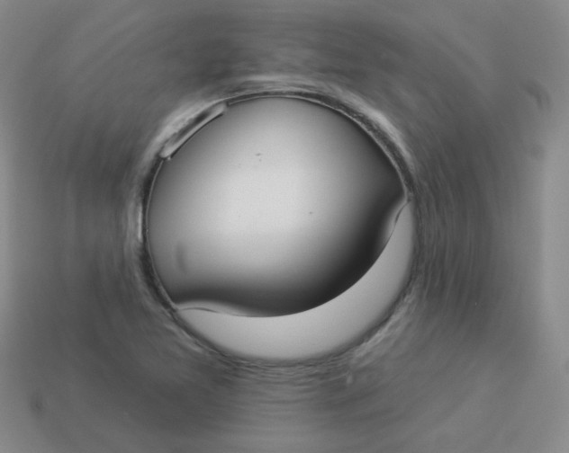 X0000113901365200910151346