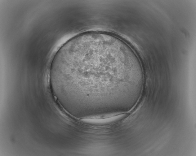 X0000113901367200910151346