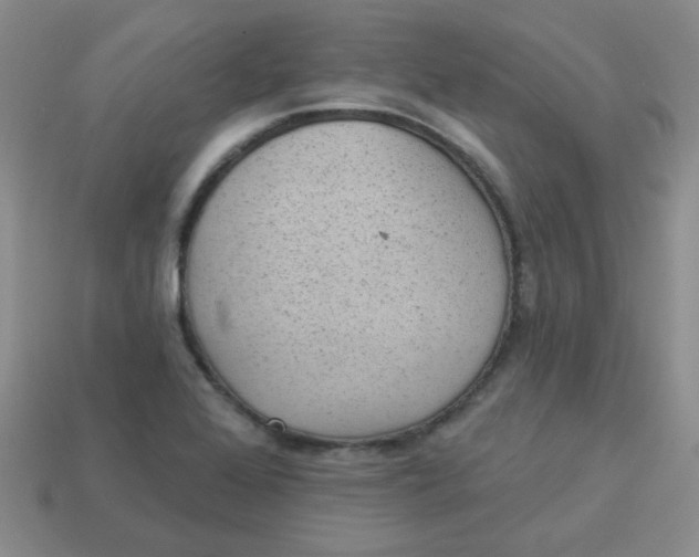 X0000113901368200910151346